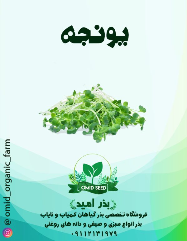 بذر یونجه - تصویر 1