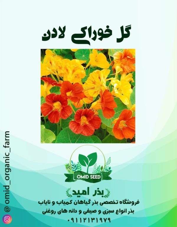 بذر گل لادن خوراکی - تصویر 1