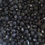 بذر لوبیا چشم بلبلی سیاه