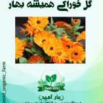 بذر گل همیشه بهار خوراکی