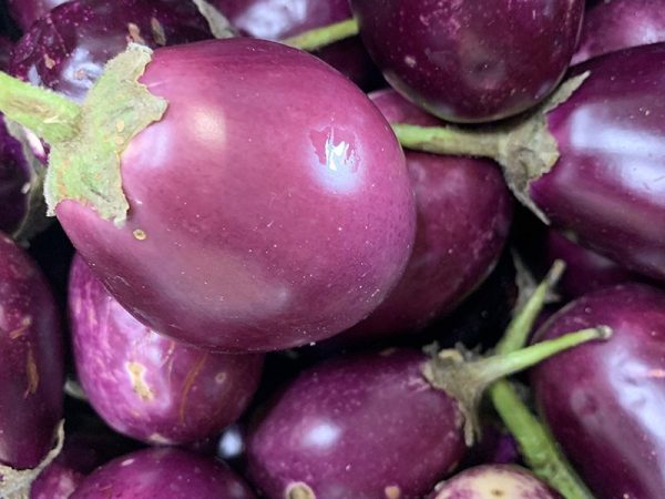 بذر بادمجان دلمه بنفش - تصویر 1