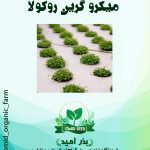 بذر میکرو گرین روکولا