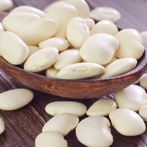 بذر لوبیا سفید دانه درشت