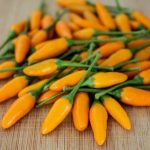 بذر فلفل Stromboli Orange