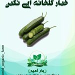 بذر خیار گلخانه ایی نگین هیبرید