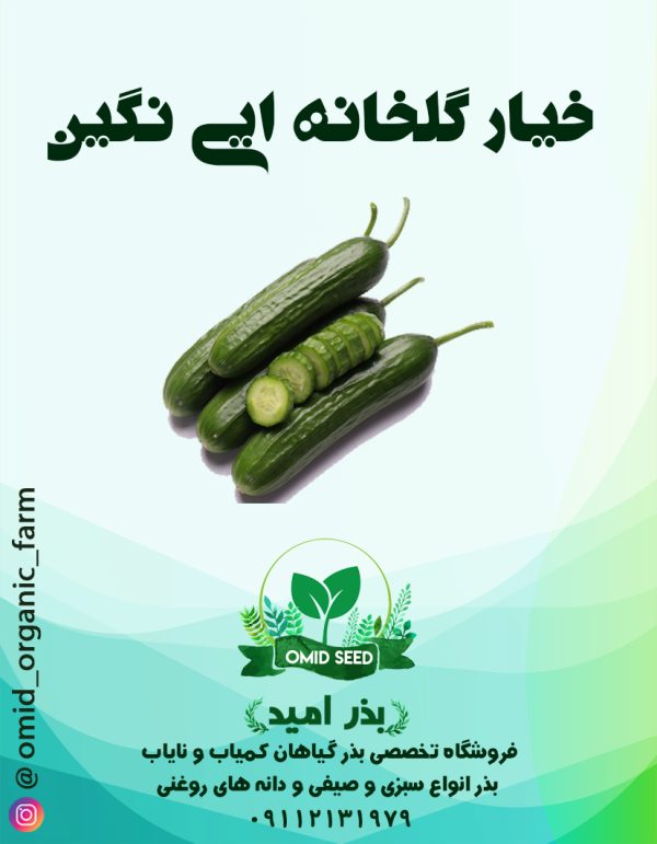 بذر خیار گلخانه ایی نگین هیبرید - تصویر 1