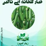 بذر خیار گلخانه ایی ناگین ( سفارش ایران )