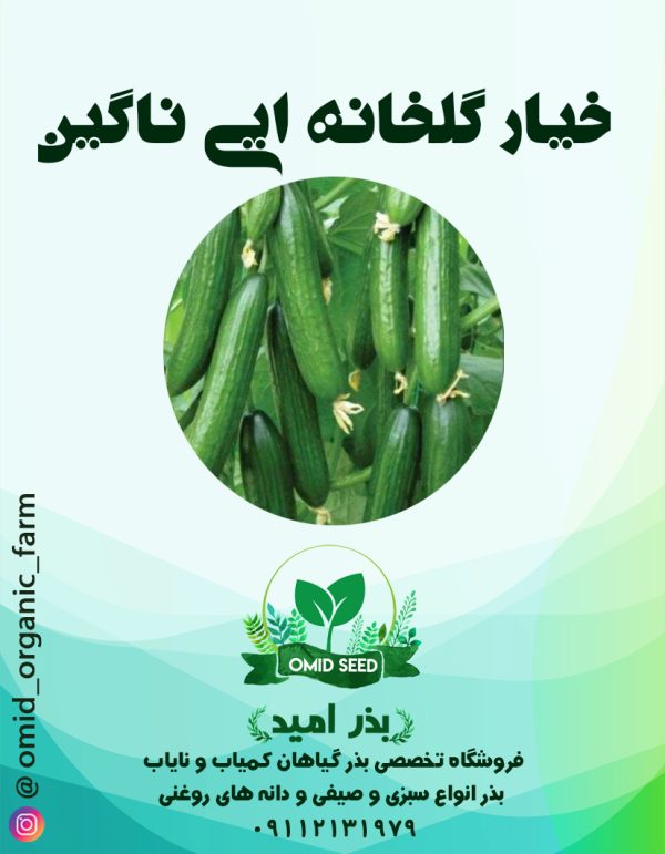 بذر خیار گلخانه ایی ناگین ( سفارش ایران ) - تصویر 1