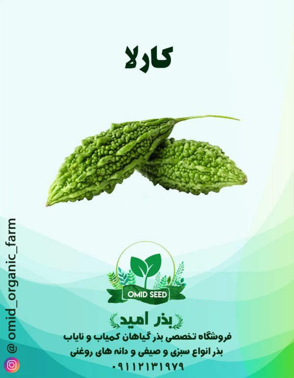 بذر کارلا ( خیار تلخ ) - تصویر 1