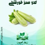 بذر کدو خورشتی سبز هیبرید ( شرکت انزا )