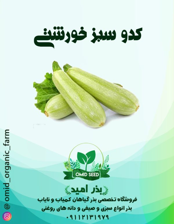 بذر کدو خورشتی سبز هیبرید ( شرکت انزا ) - تصویر 1