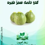 بذر کدو خورشتی دلمه سبز روشن
