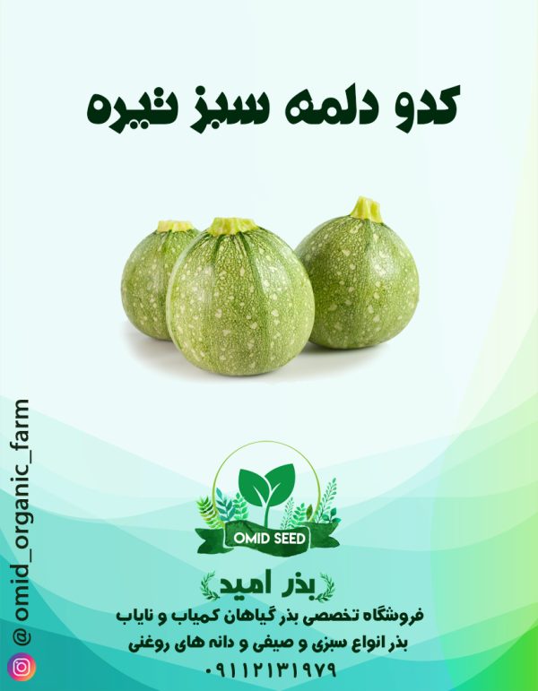 بذر کدو خورشتی دلمه سبز روشن - تصویر 1