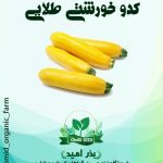 بذر کدو خورشتی طلایی هیبرید ( شرکت انزا زادن )
