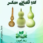 بذر کدو قلیانی