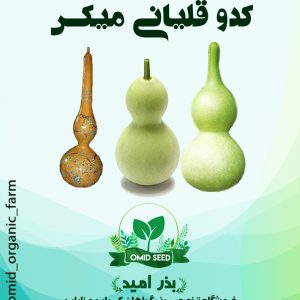 بذر کدو قلیانی میکس