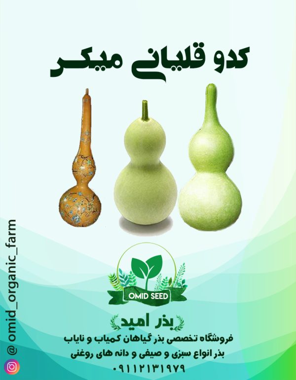 بذر کدو قلیانی میکس - تصویر 1