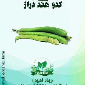بذر کدو هندی