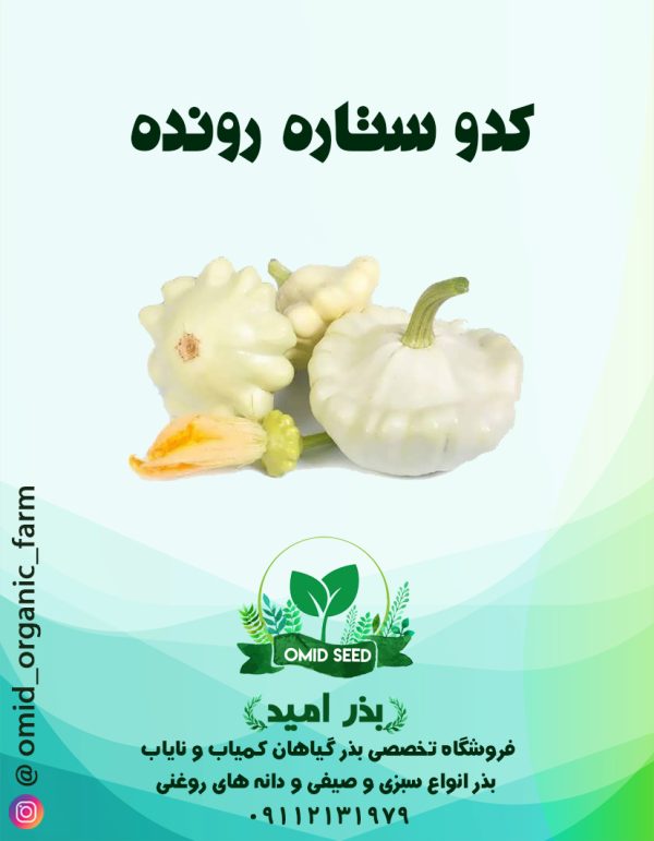 بذر کدو ستاره رونده - تصویر 1