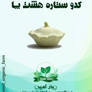 بذر کدو ستاره