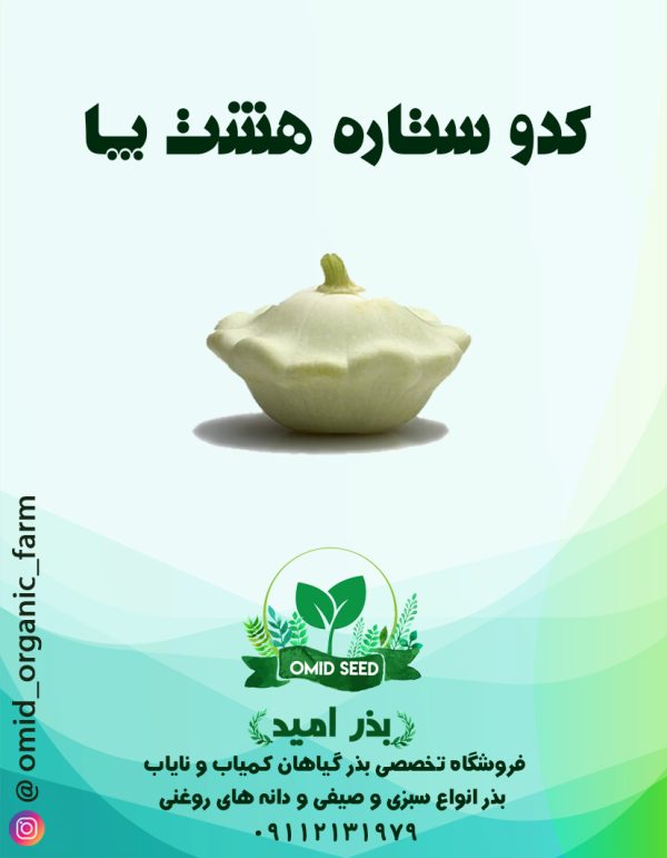 بذر کدو ستاره - تصویر 1