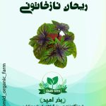 بذر ریحان نازخاتونی