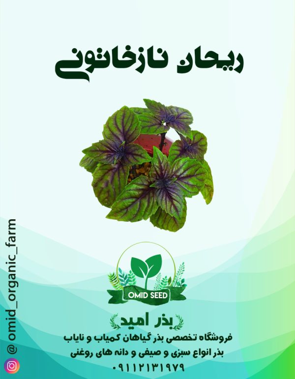 بذر ریحان نازخاتونی - تصویر 1