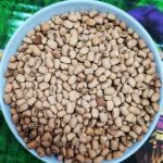 بذر لوبیا چشم بلبلی دانه ریز