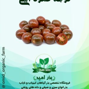 بذر گوجه گیلاسی قهوه ایی