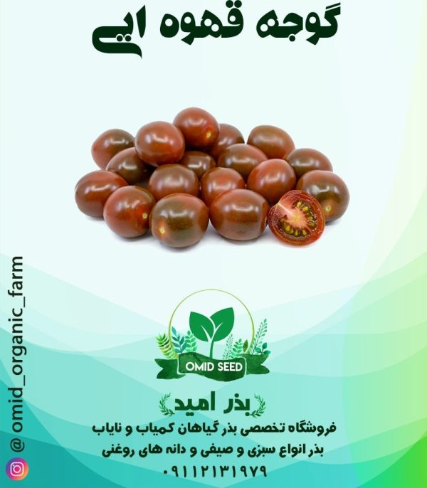 بذر گوجه گیلاسی قهوه ایی - تصویر 1