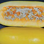 بذر کدو آجیلی دانه ریز