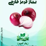 بذر پیاز خارجی قرمز