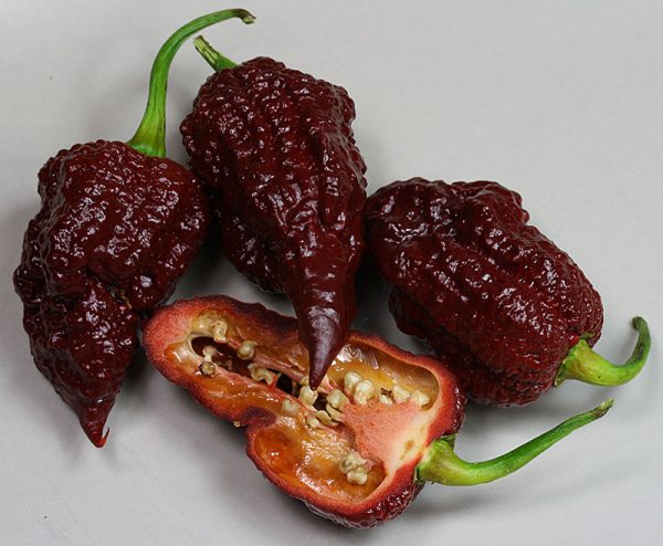 بذر فلفل Big Black Mama - تصویر 1