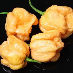 بذر فلفل C22 peach