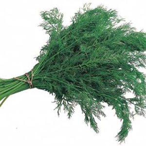 بذر شوید روسی ( مقاوم به سرما )