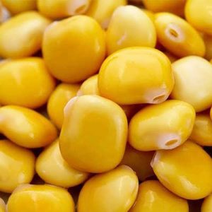 بذر لوبیا مصری