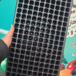 سینی نشا یک بار مصرف 162 حفره ( 5 عددی )