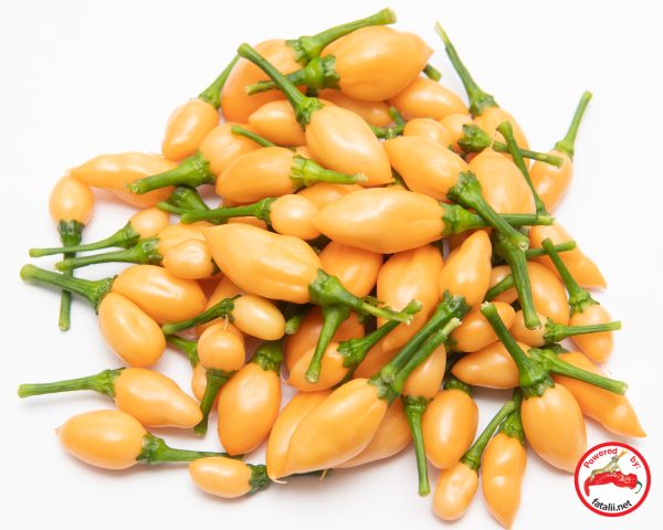 بذر فلفل Tiny peach - تصویر 1