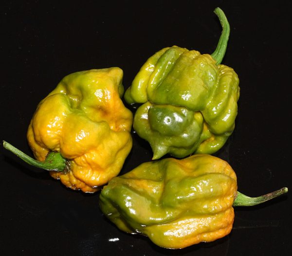 بذر فلفل Trinidad Scorpion Moruga Green - تصویر 1