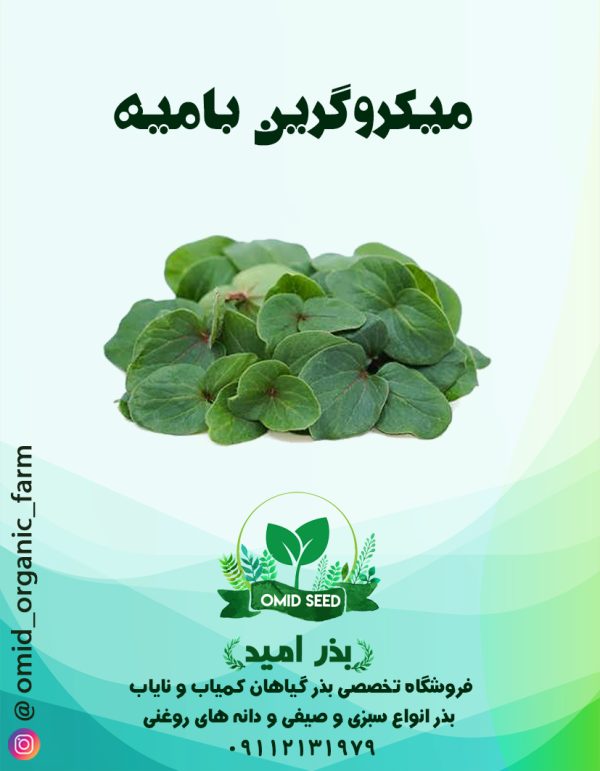 بذر میکرو گرین بامیه - تصویر 1