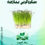 بذر میکرو گرین پیازچه
