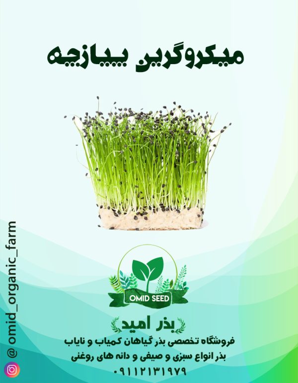 بذر میکرو گرین پیازچه - تصویر 1