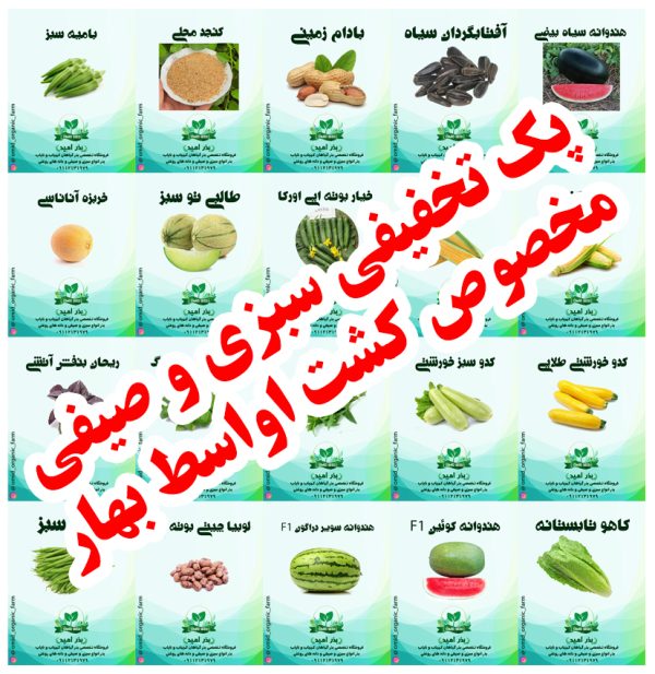 پک بذر سبزی و صیفی اواسط بهار - تصویر 1