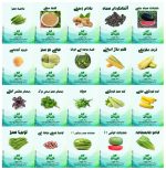 پک بذر سبزی و صیفی اواسط بهار - تصویر 2