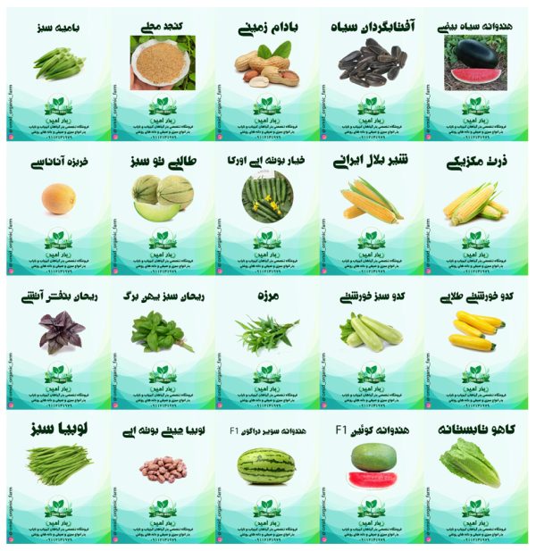 پک بذر سبزی و صیفی اواسط بهار - تصویر 2