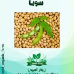 بذر سویا اصلاح نژاد شده