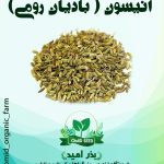 بذر گیاه دارویی انیسون ( بادیان رومی )
