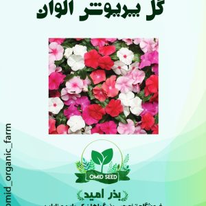 بذر گل پریوش الوان