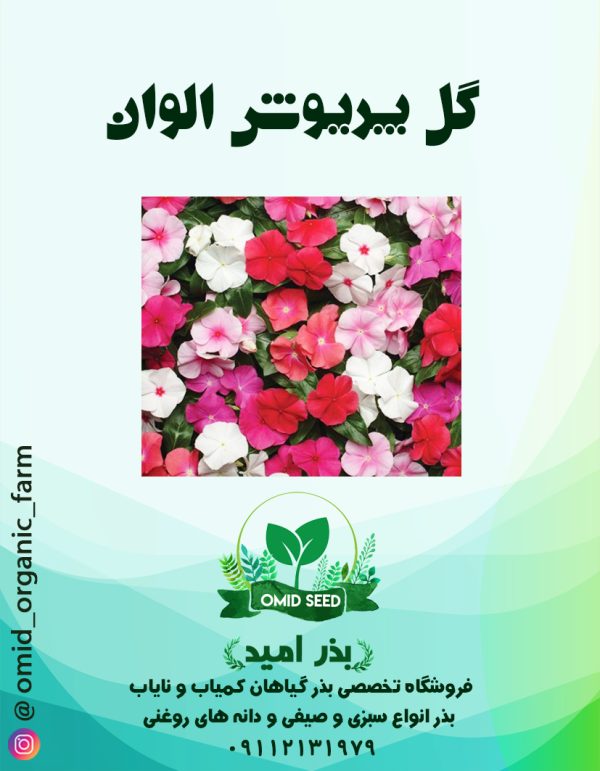 بذر گل پریوش الوان - تصویر 1