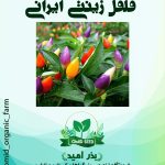 بذر فلفل تزئینی ایرانی